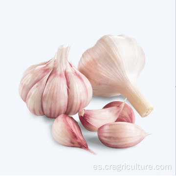 Garlic Farm Top Dientes de ajo frescos